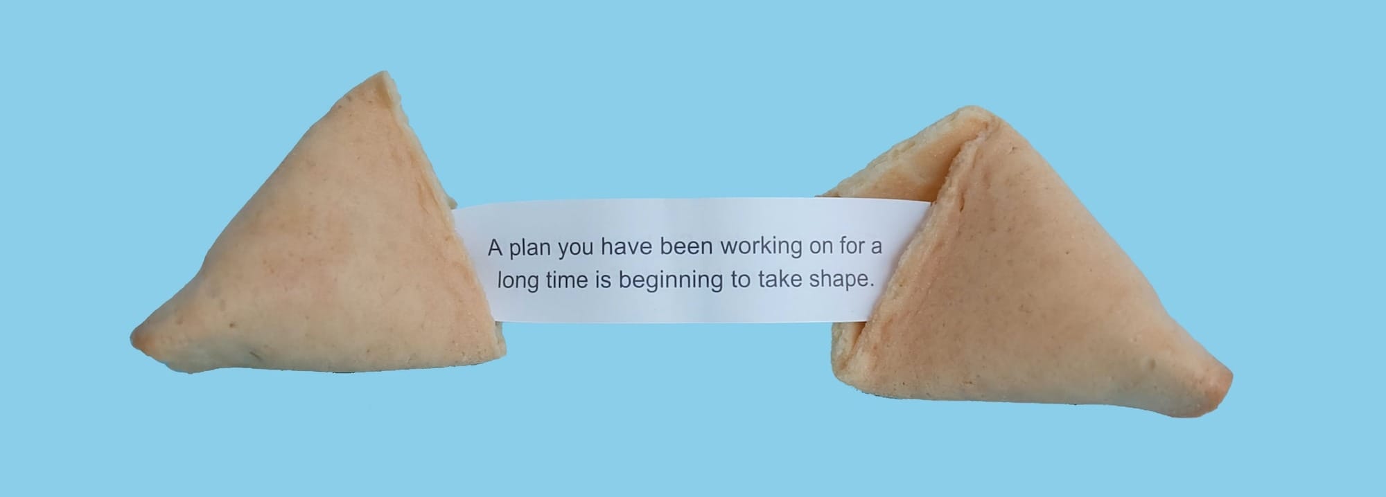 fortune cookie