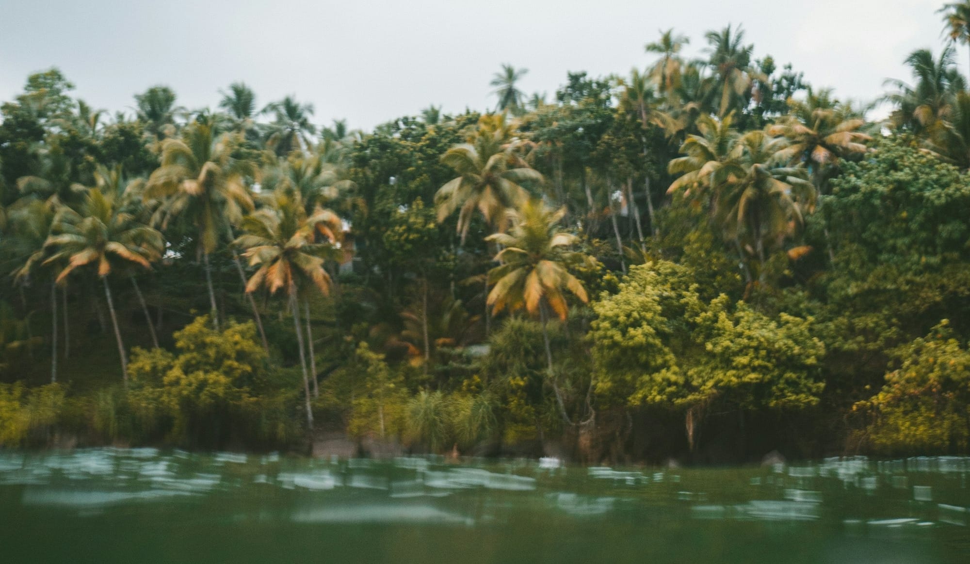 aerial photography of island