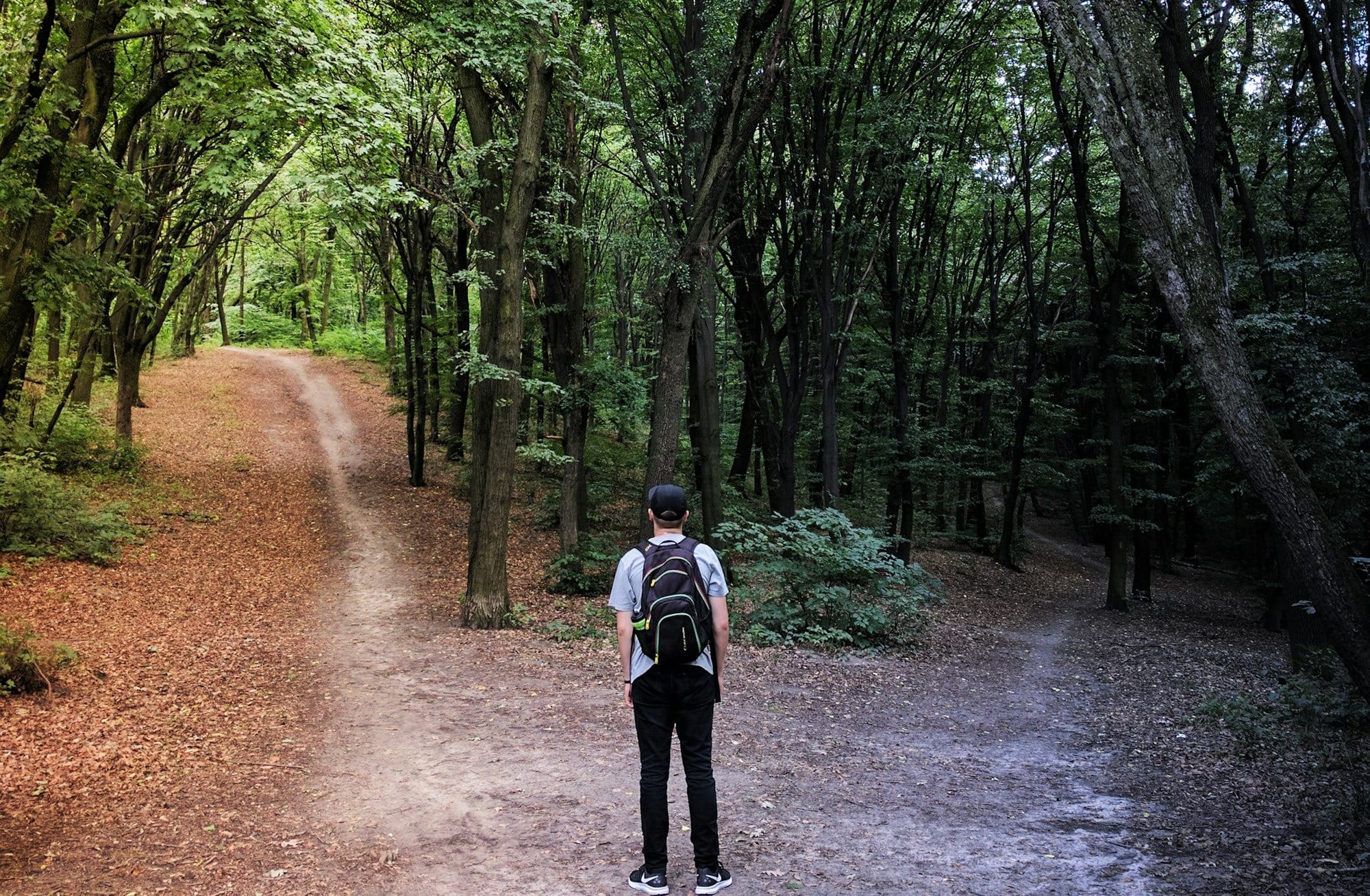 man standing in the middle of woods