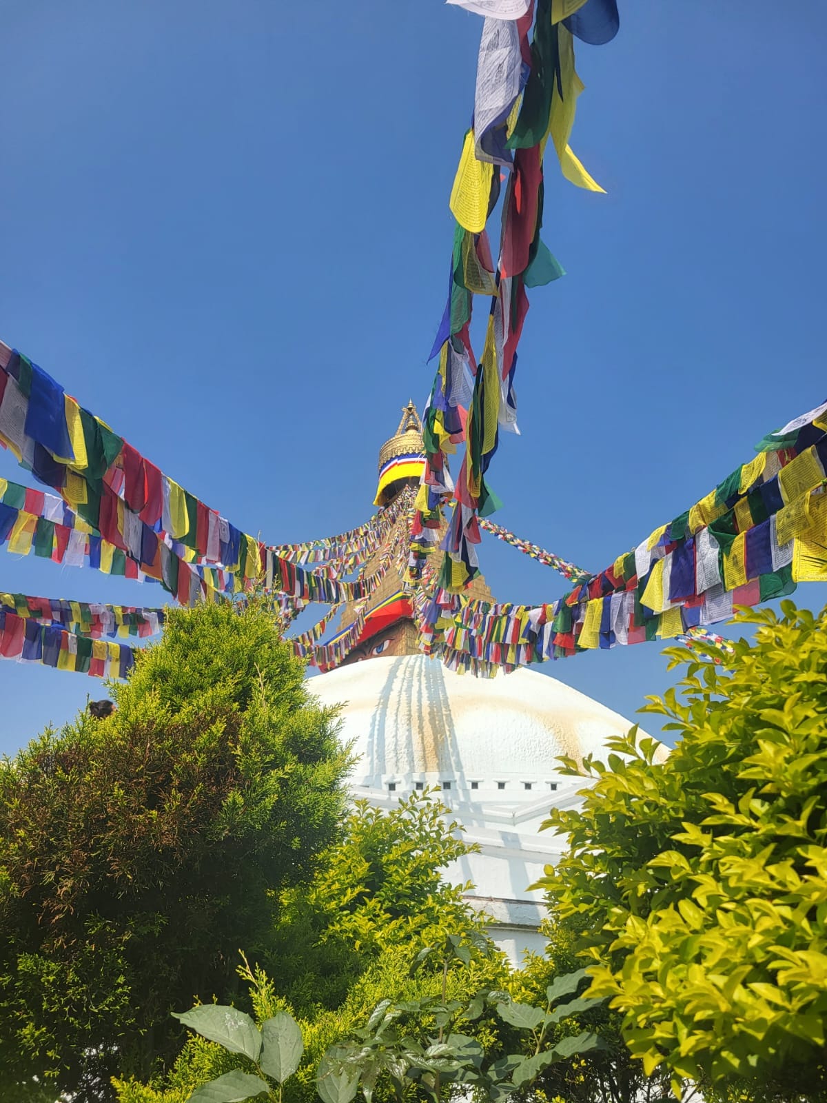 The Buddha Stupa