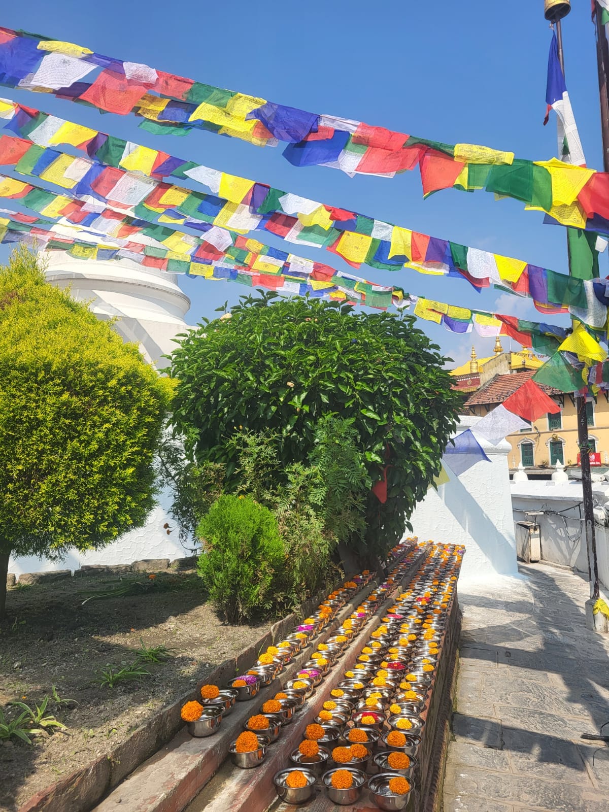 The Buddha Stupa
