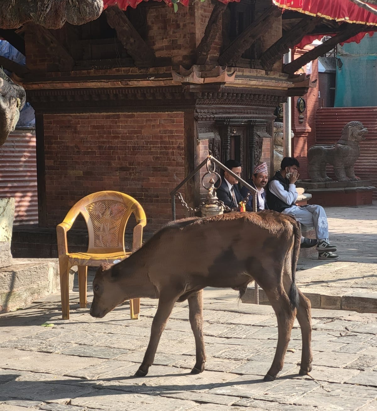 Lost in Thamel