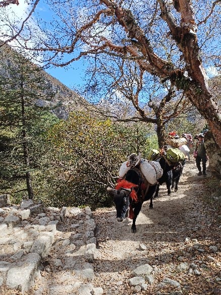 The world's highest monastery
