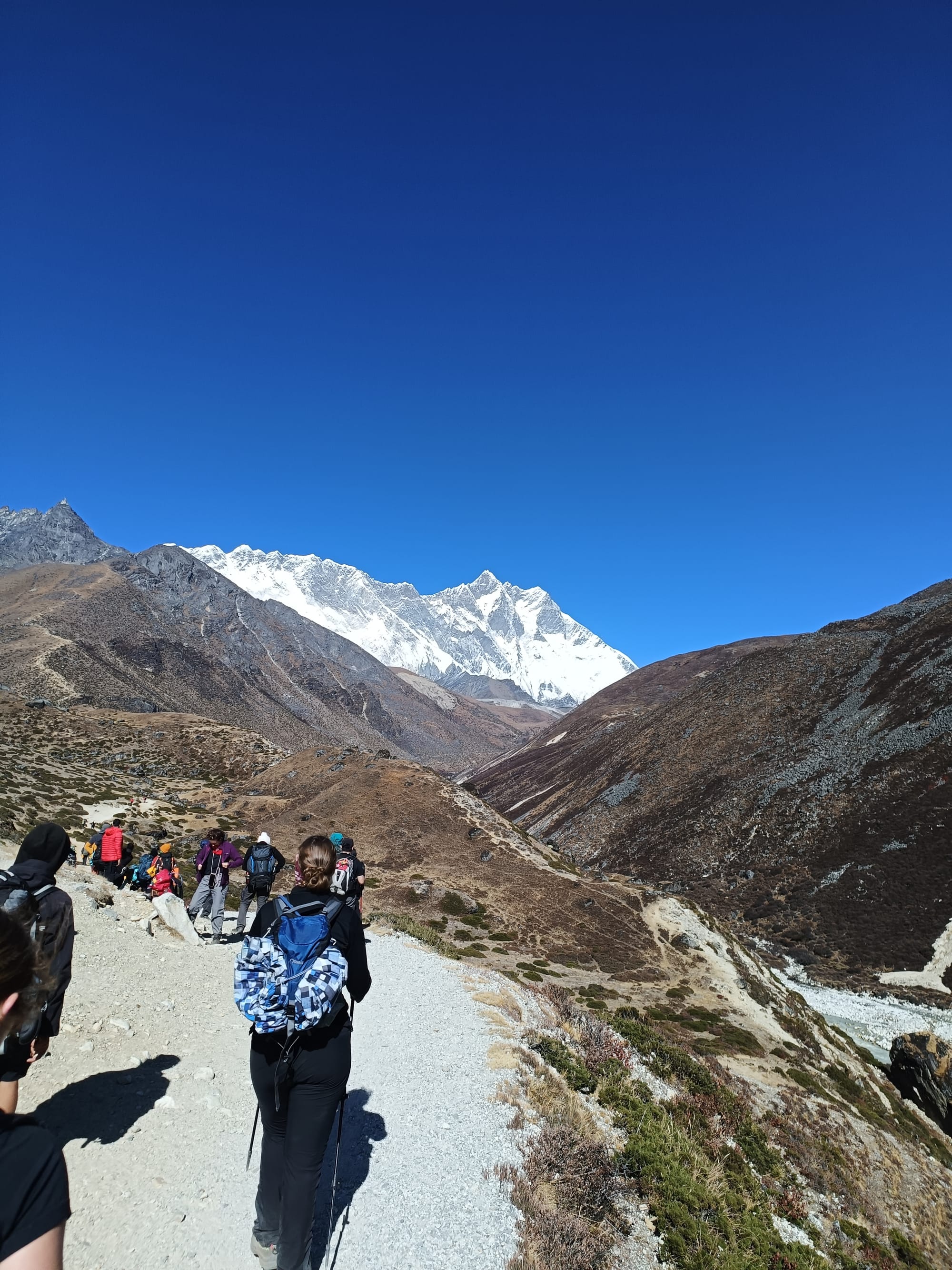 Tea on the mountainside