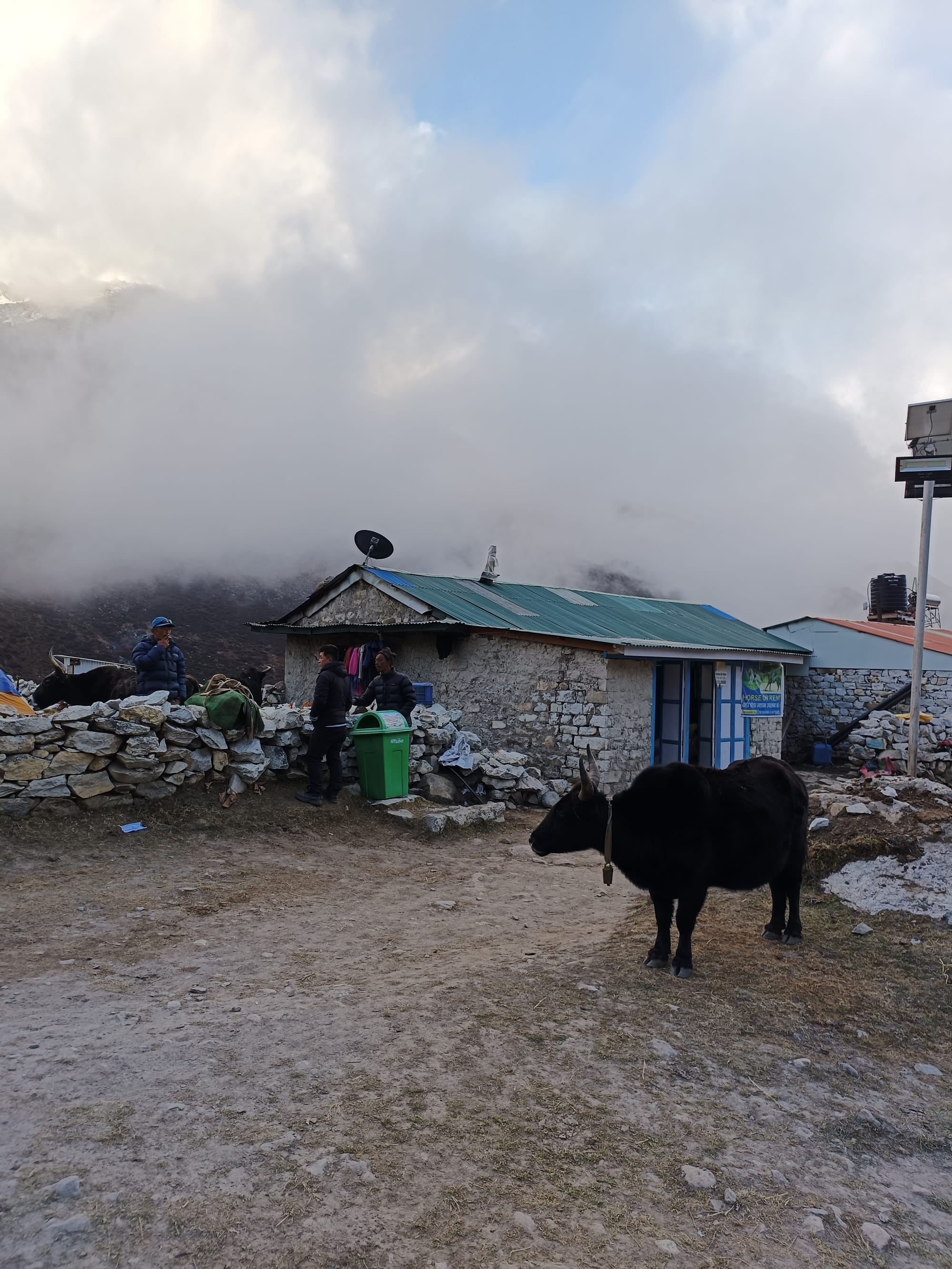 Tea on the mountainside