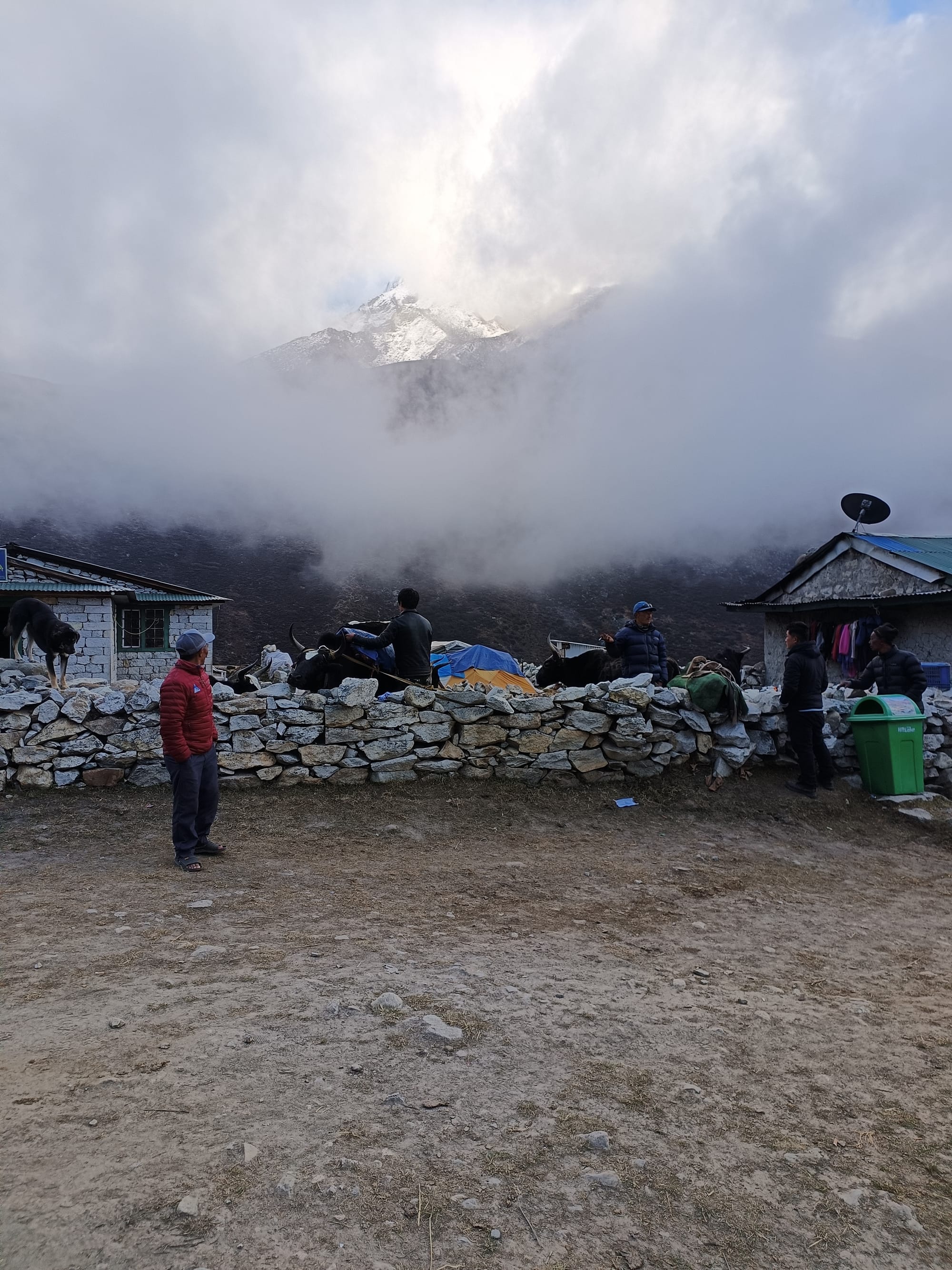 Tea on the mountainside