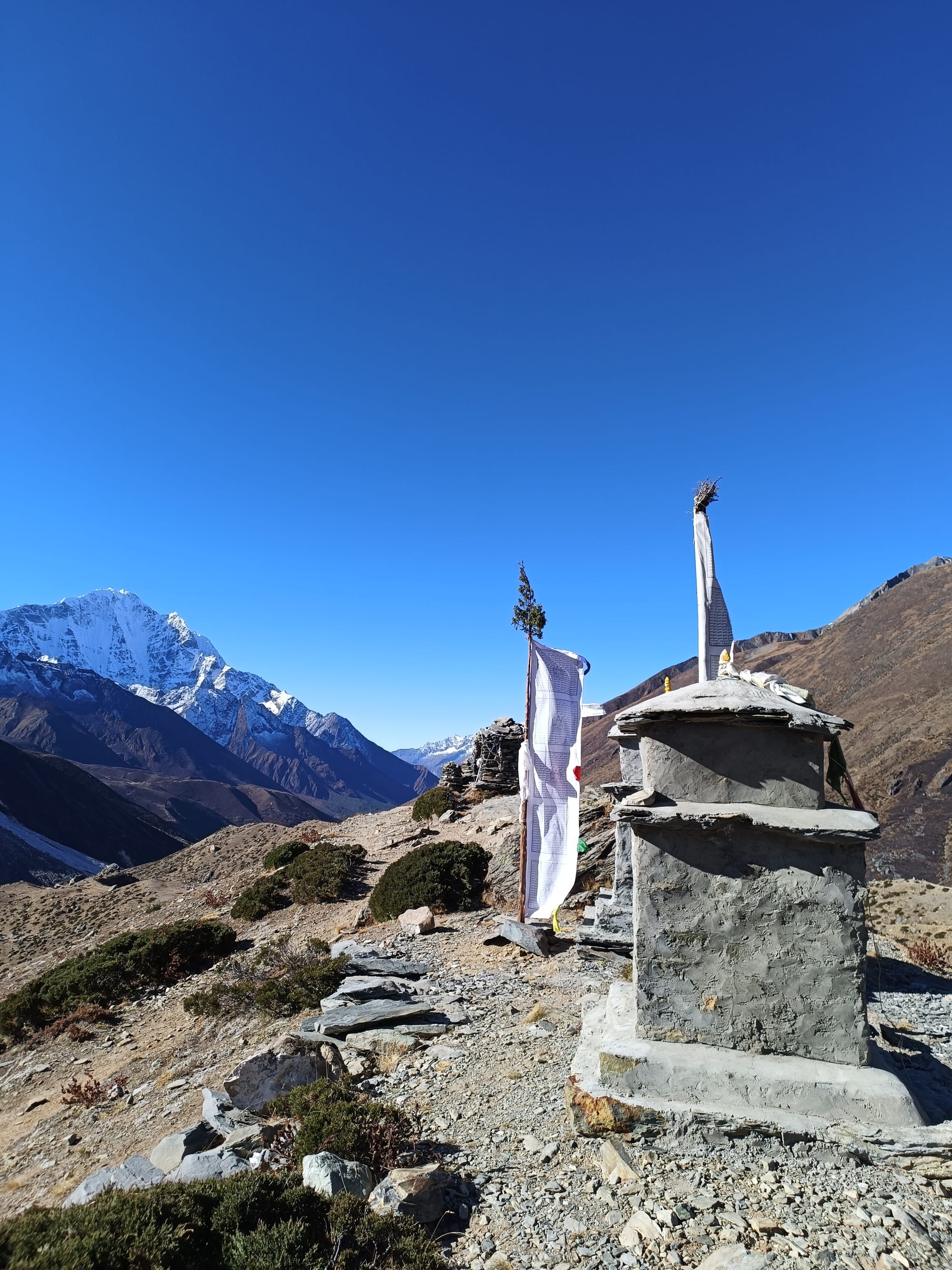 Tea on the mountainside