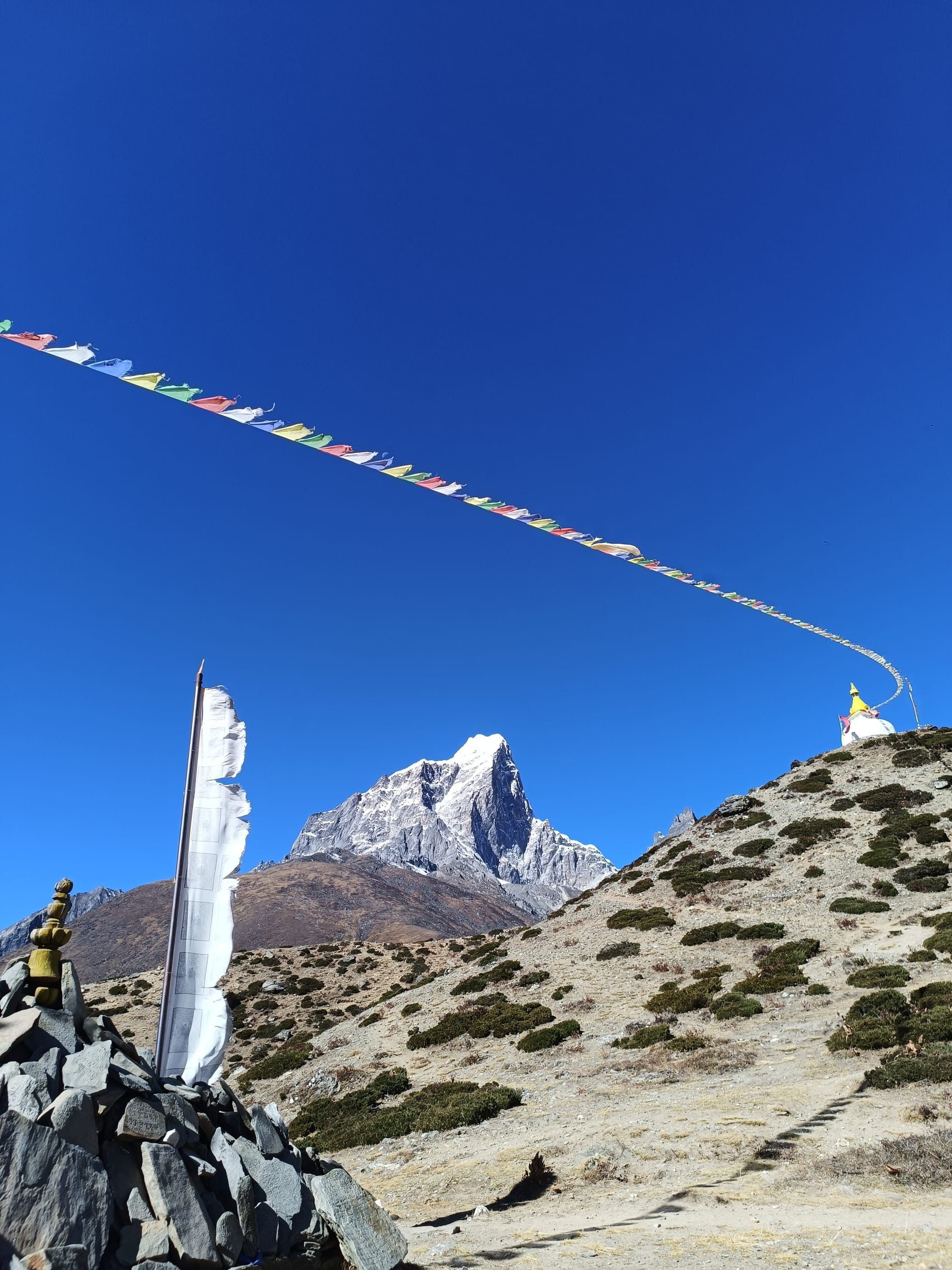 Tea on the mountainside